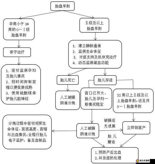 麻豆精产三产最简单处理方法：高效便捷处理流程指南